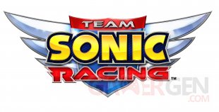 Team Sonic Racing logo 30 05 2018