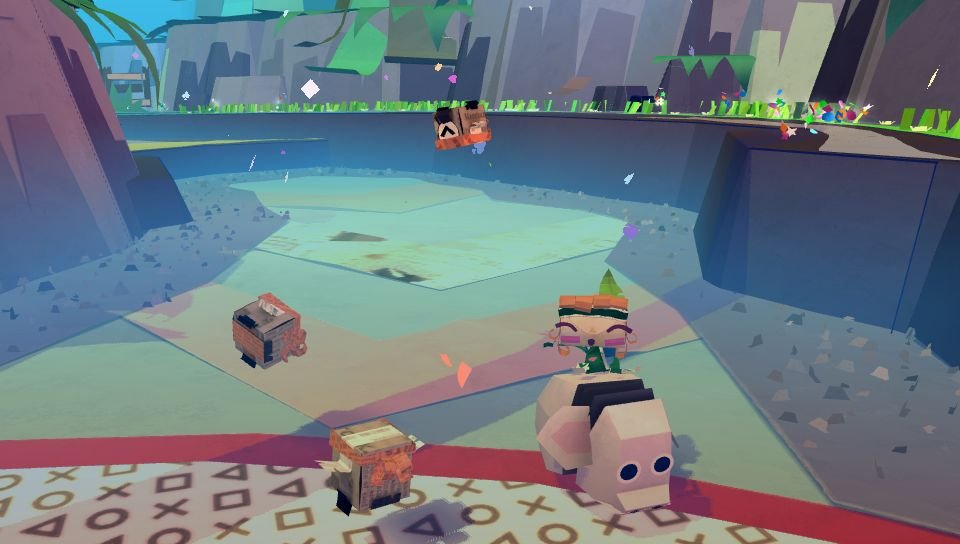 Tearaway 28.10 (16)