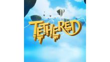 tethered-jaquette-cover