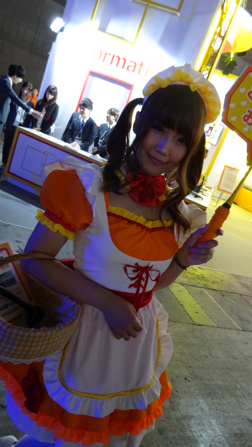 TGS 2017 Babes Partie 1 (32)