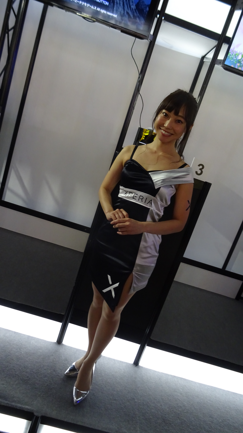 TGS 2017 Babes Partie 1 (49)