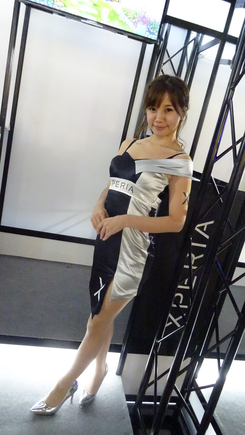 TGS 2017 Babes Partie 1 (51)