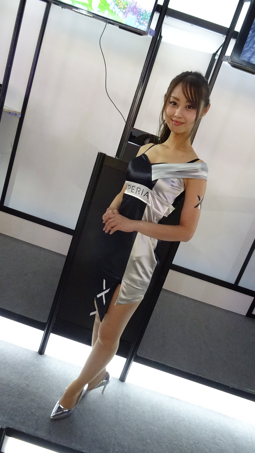 TGS 2017 Babes Partie 1 (53)