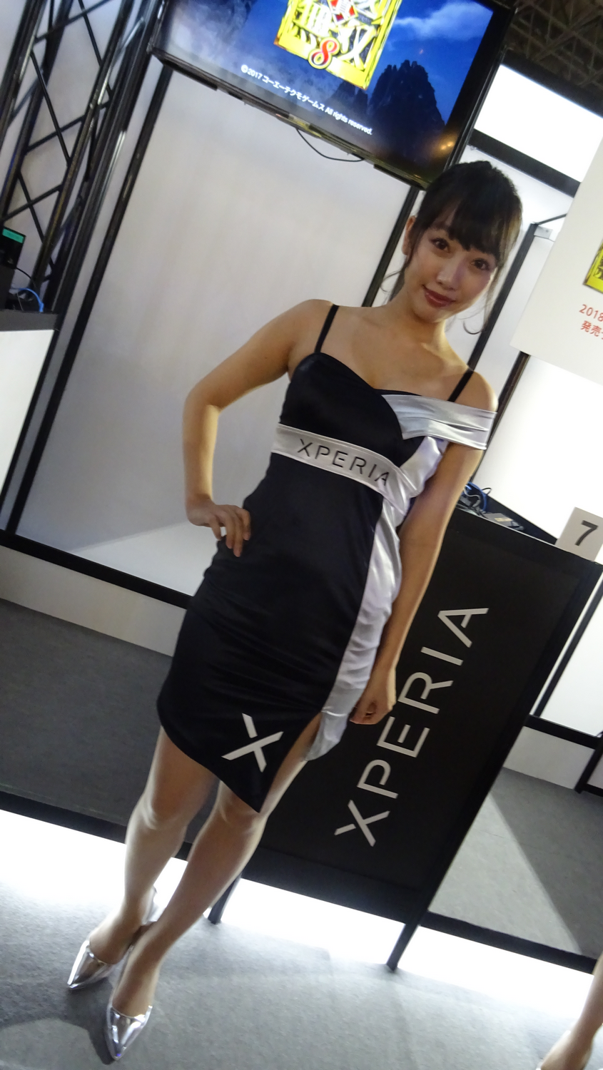 TGS 2017 Babes Partie 1 (55)