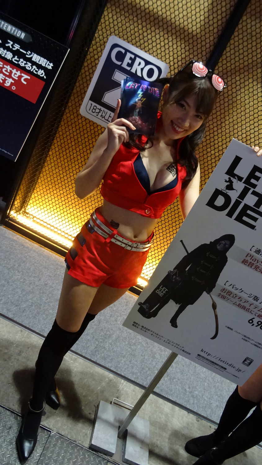 TGS 2017 Babes Partie 1 (90)