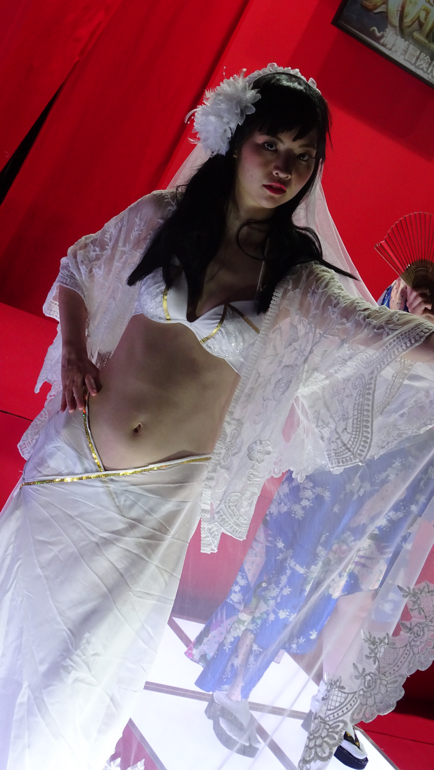 TGS 2017 babes Partie 2 (107)