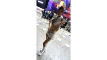 TGS 2017 babes Partie 2 (112)