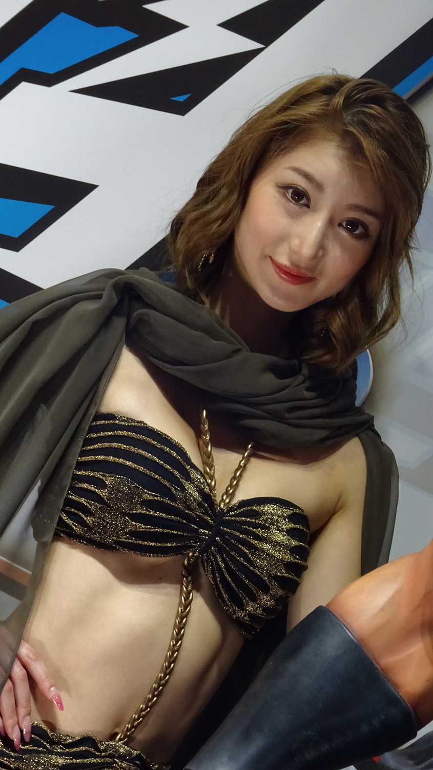 TGS 2017 babes Partie 2 (21)