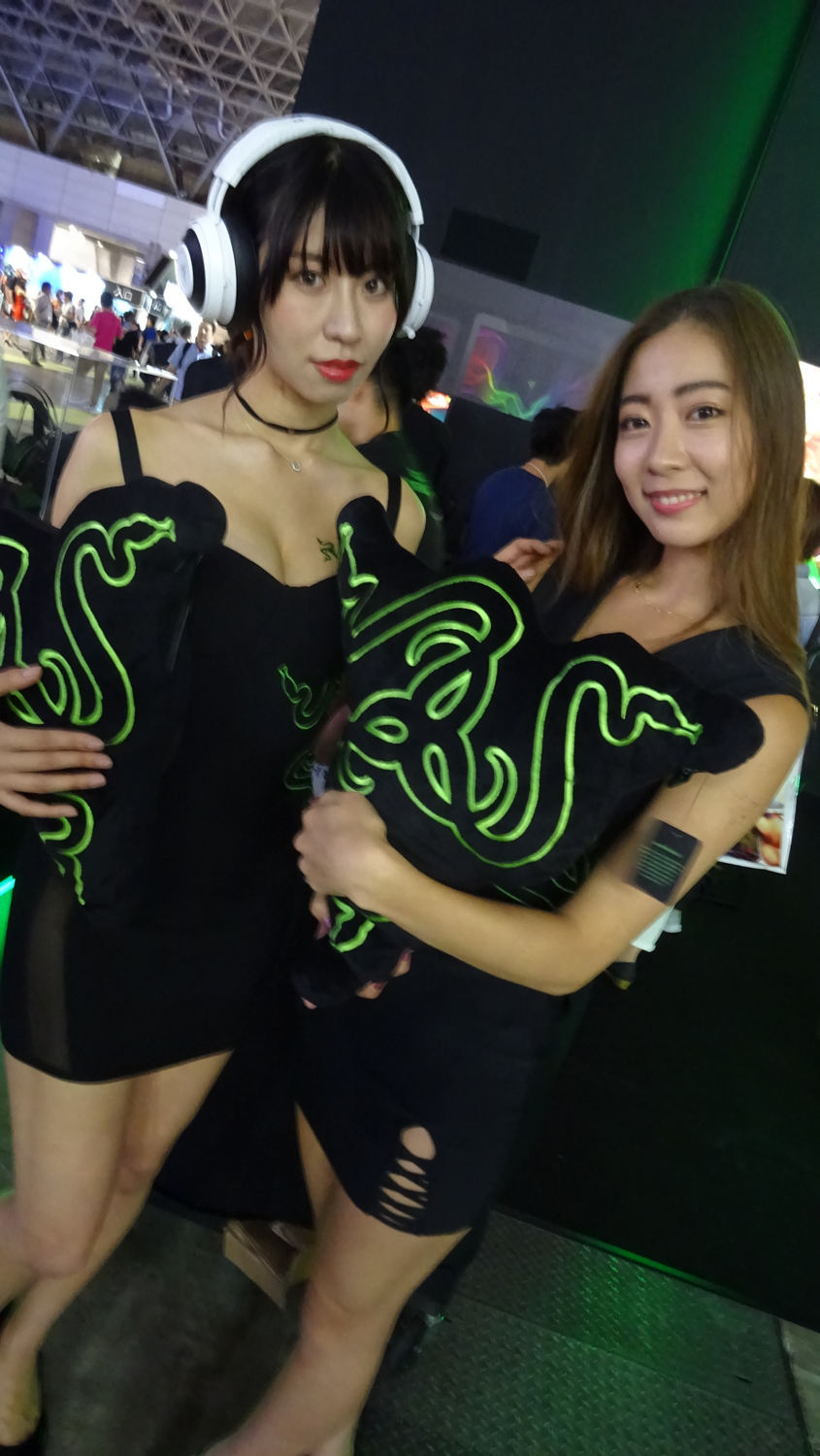 TGS 2017 babes Partie 2 (62)