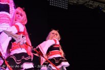 TGS SPRINGBREAK 2015   0441   D4D 3743   Concours Cosplay   Babes   Boys