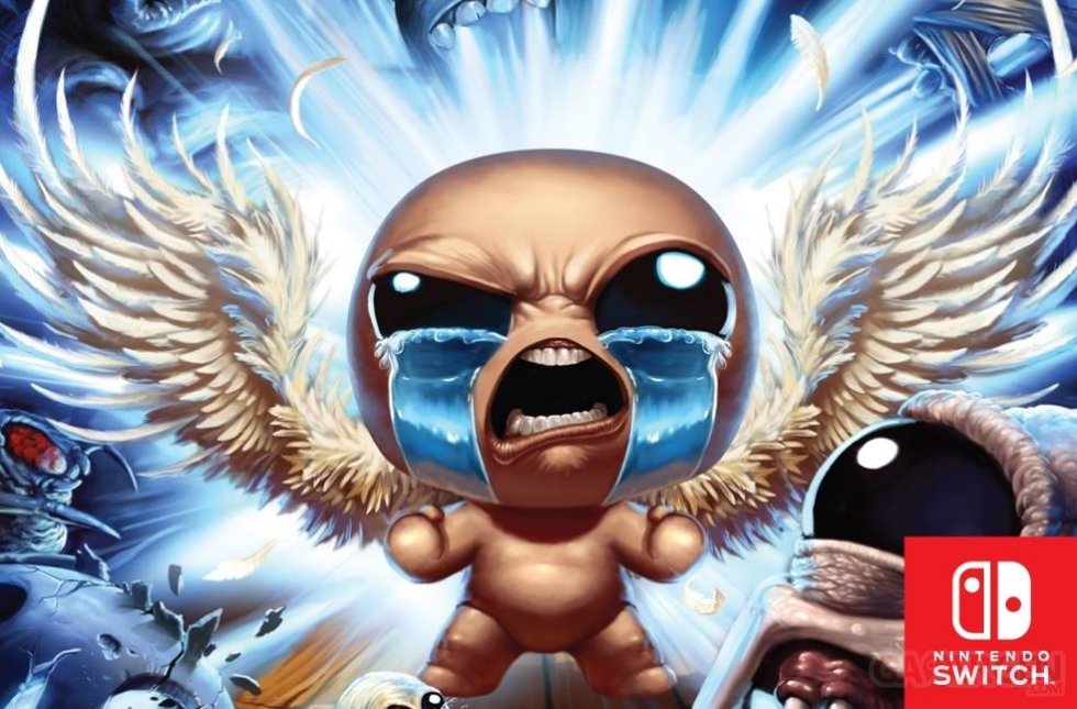 The Binding of Isaac Afterbirth (1)