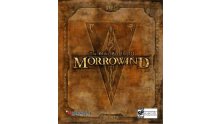 The_Elder_Scrolls_III_Morrowind