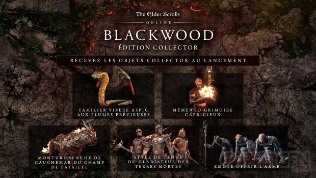 The Elder Scrolls Online Blackwood collector numérique 27 01 2021
