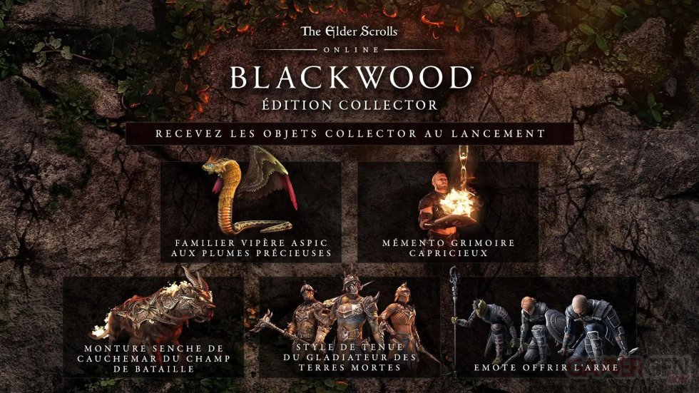 The-Elder-Scrolls-Online-Blackwood-collector-numérique-27-01-2021
