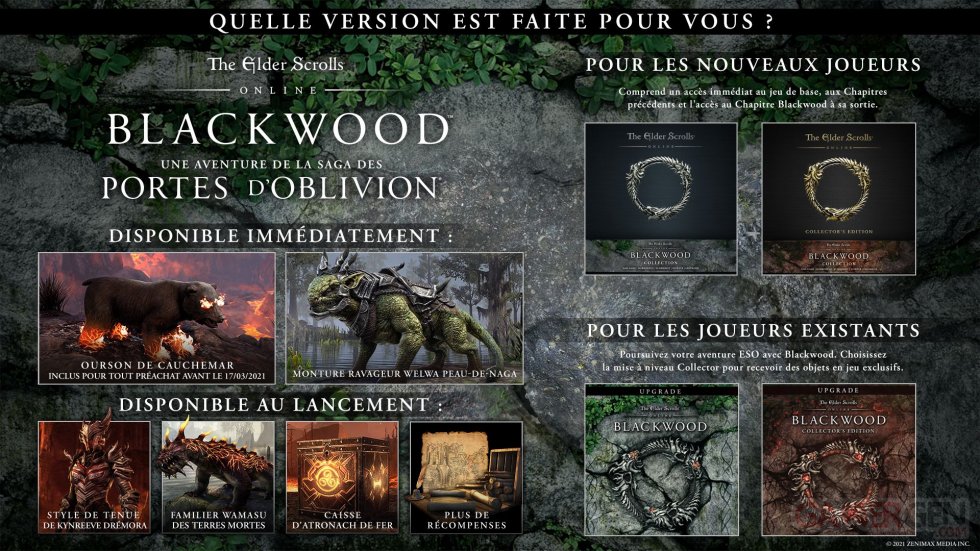 The-Elder-Scrolls-Online-Blackwood-éditions-27-01-2021