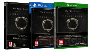 The Elder Scrolls Online Collection 21 03 2018