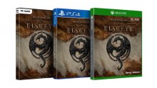 The-Elder-Scrolls-Online-Elsweyr-10-16-01-2019