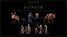 The-Elder-Scrolls-Online-Elsweyr-12-16-01-2019