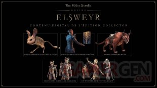 The Elder Scrolls Online Elsweyr 12 16 01 2019