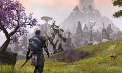 The Elder Scrolls Online fields