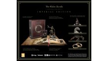 The-Elder-Scrolls-Online_Imperial-Edition