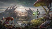 The-Elder-Scrolls-Online-Necrom_25-01-2022_key-art