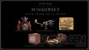 The Elder Scrolls Online Summerset Pack Prime de la Reine 21 03 2018