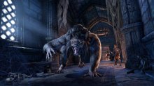 The-Elder-Scrolls-Online-Wolfhunter-01-10-08-2018