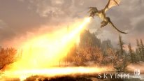 The Elder Scrolls Skyrim Switch 2017 06 12 17 003