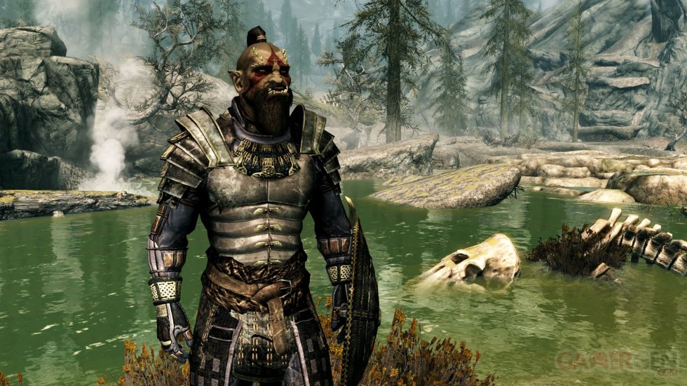 The Elder Scrolls V Skyrim images (8)