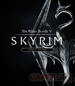The Elder Scrolls V Skyrim Special Edition 13 06 2016 art
