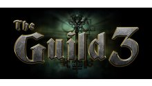 the guild 3 header