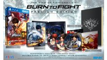 The King of Fighter XIV Premium Edition