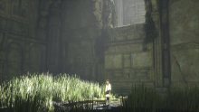 The Last Guardian (1)