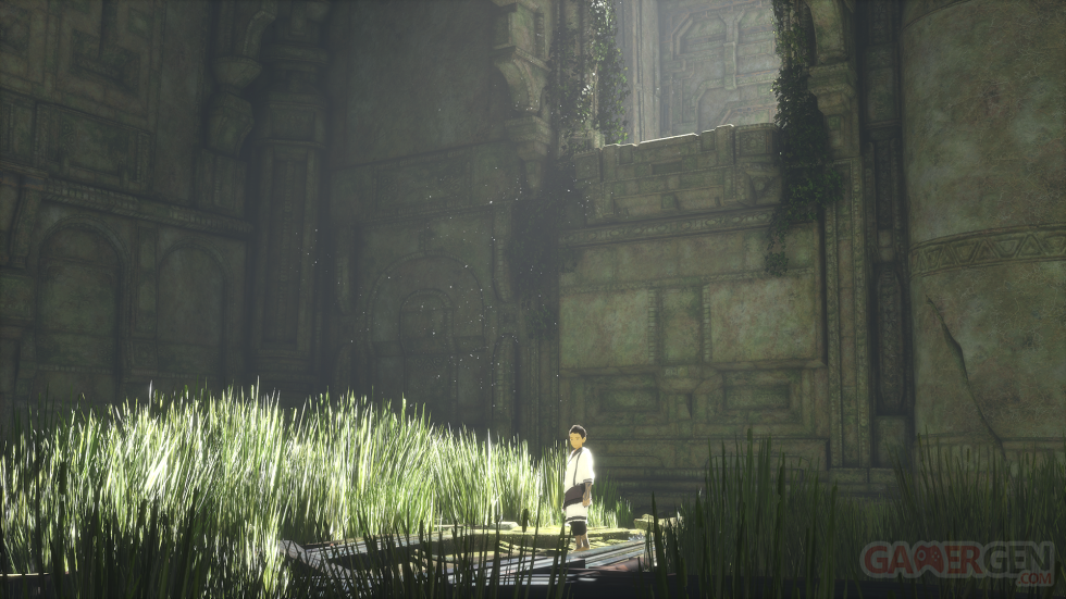 The Last Guardian (1)