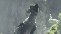 The Last Guardian 27 05 2016 screenshot 9