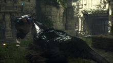 The Last Guardian (5)