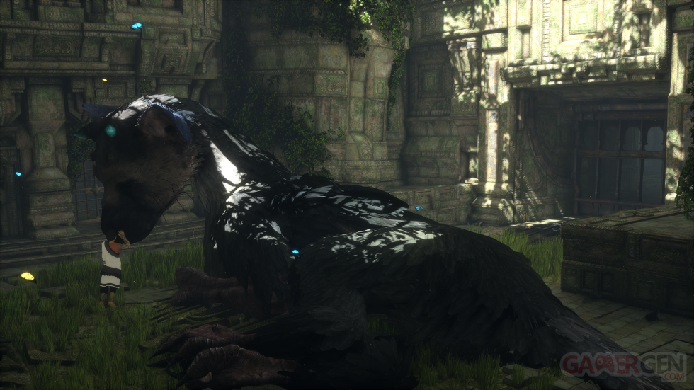 The Last Guardian (5)