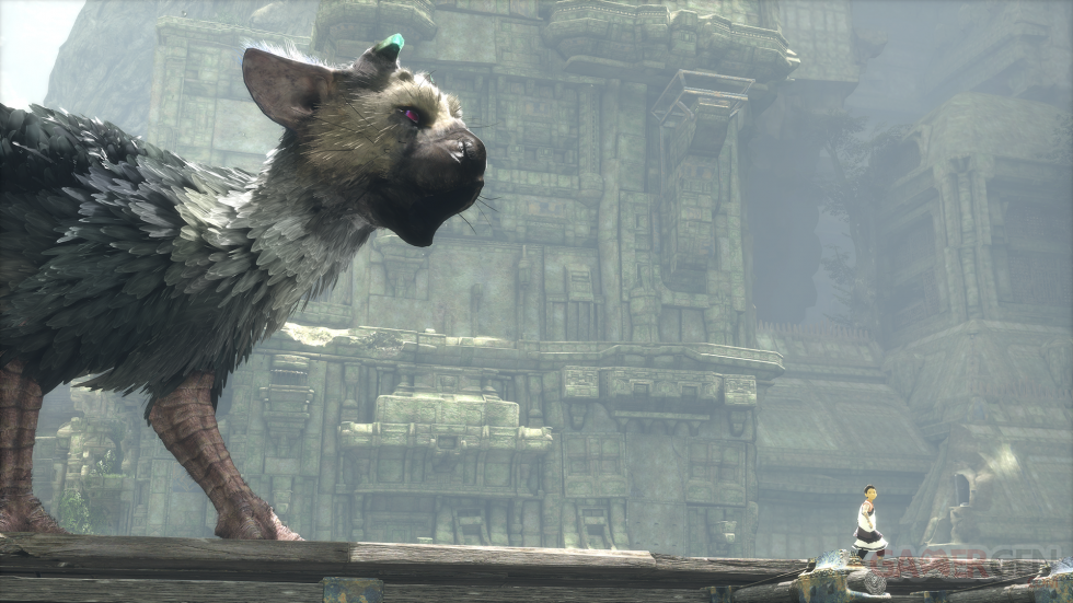 The Last Guardian (7)