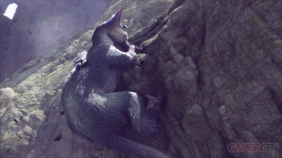 The Last Guardian images (3)