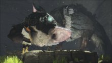 The Last Guardian images (5)