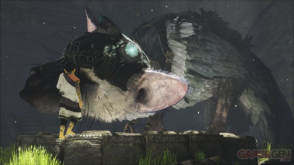 The Last Guardian images (5)