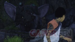 The Last Guardian images (6)
