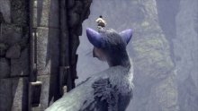 The Last Guardian images (7)