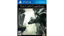 The Last Guardian jaquette