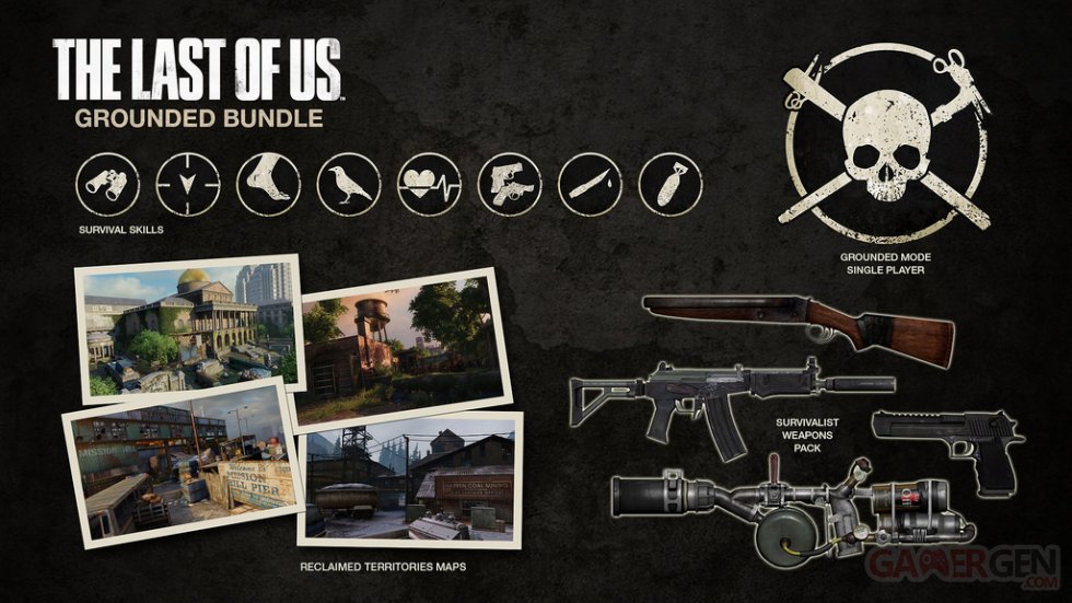 The-Last-of-Us_16-04-2014_Pack-Réaliste-1