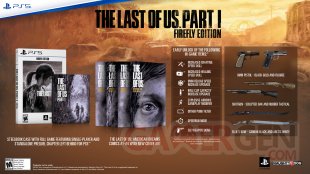 The Last of Us Part I Edycja Firefly