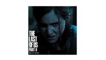 The Last of Us Part II Edition Double Vinyle Format Gatefold (5)