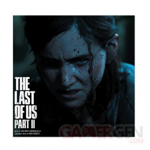 The Last of Us Part II Edition Double Vinyle Format Gatefold (5)