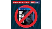 The Last of Us Part II Egypte Game Valley